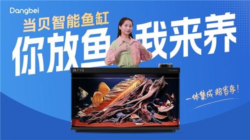 當貝智能魚缸創意廣告席卷北上廣深 多地強勢上線